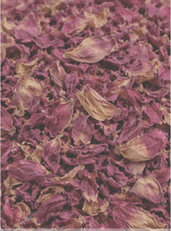 Rose Petals