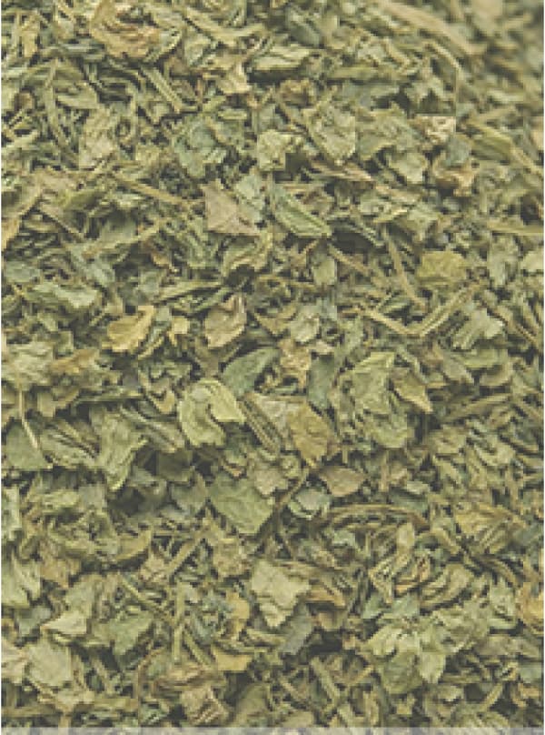 Fenugreek Leaf