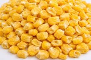 Sweet Corn Fd