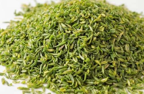 Chives