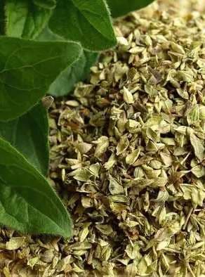 Oregano