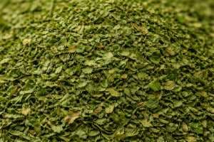 Coriander Leaves/ Cilantro