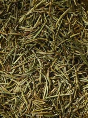 Rosemary